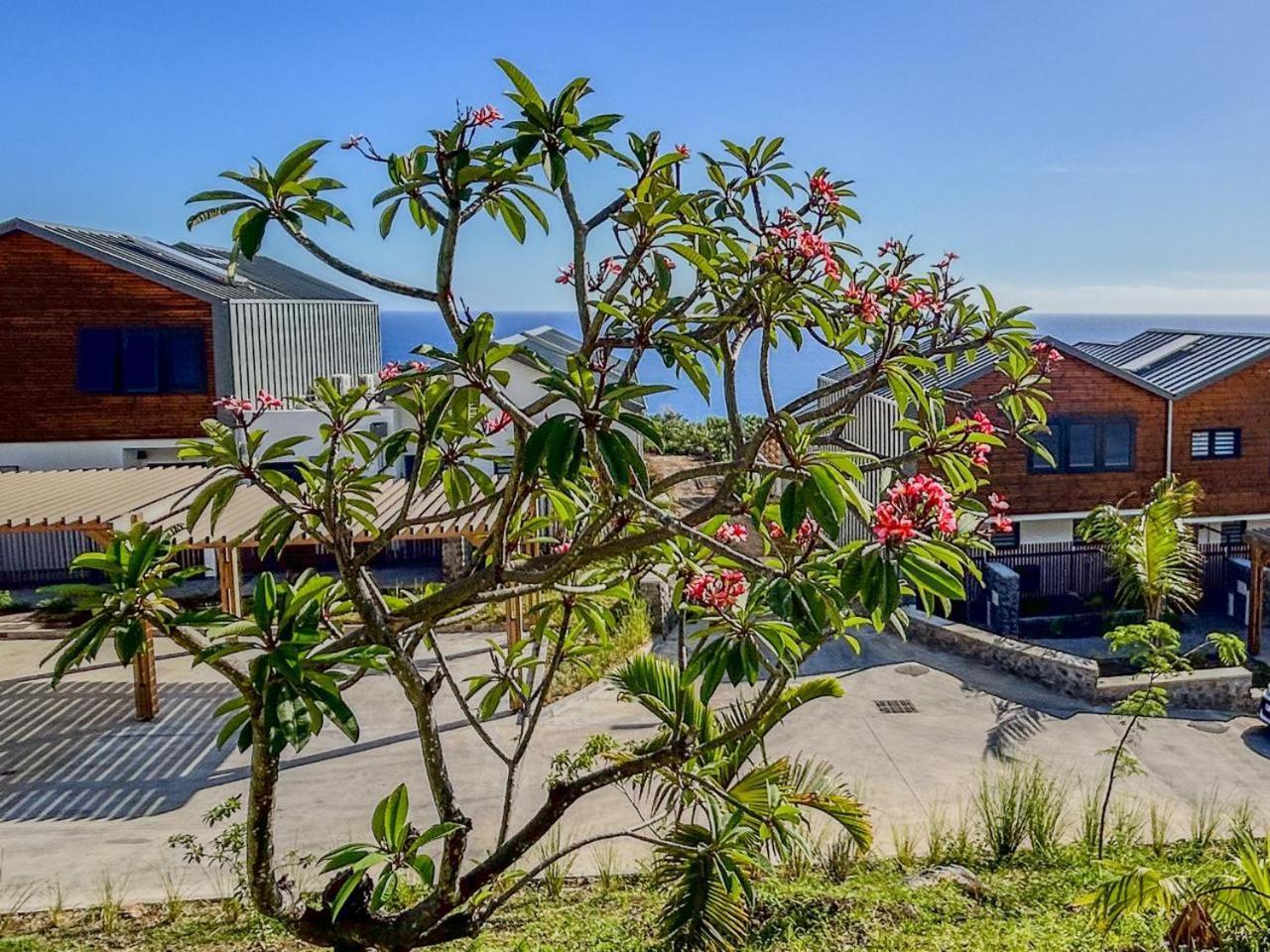 Le Reve Bleu Grand Anse Petite Île Exterior foto